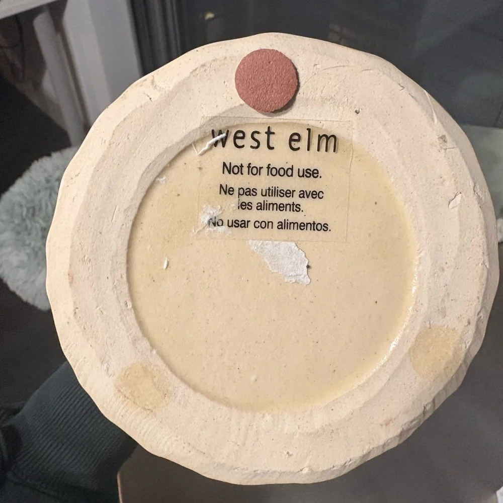 West Elm Textured Cream Vase